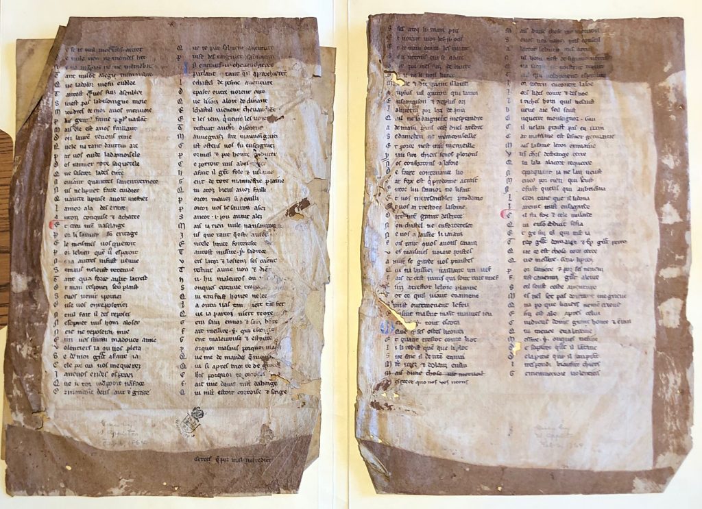 Yvain essay 05 image