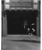 High-speed photograph of pigeons