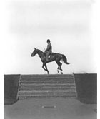 High-speed photograph of horse and rider