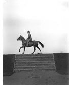 High-speed photograph of horse and rider