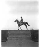 High-speed photograph of horse and rider