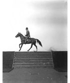 High-speed photograph of horse and rider