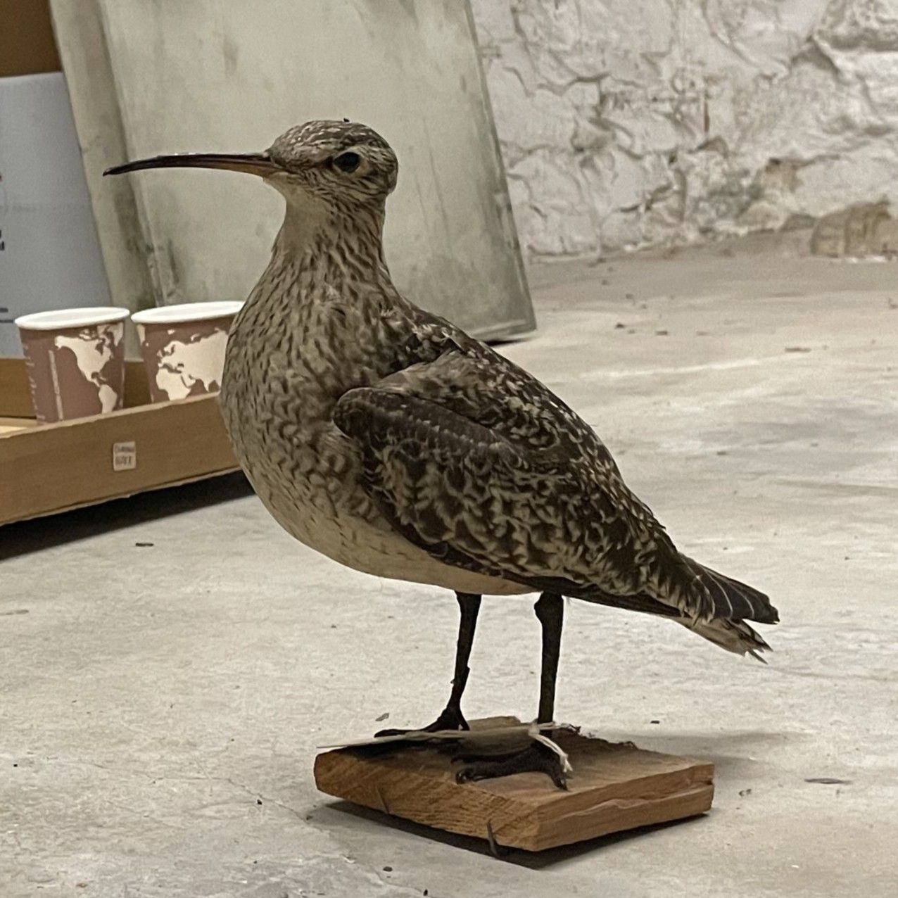 cropped IMG_4324.jpg