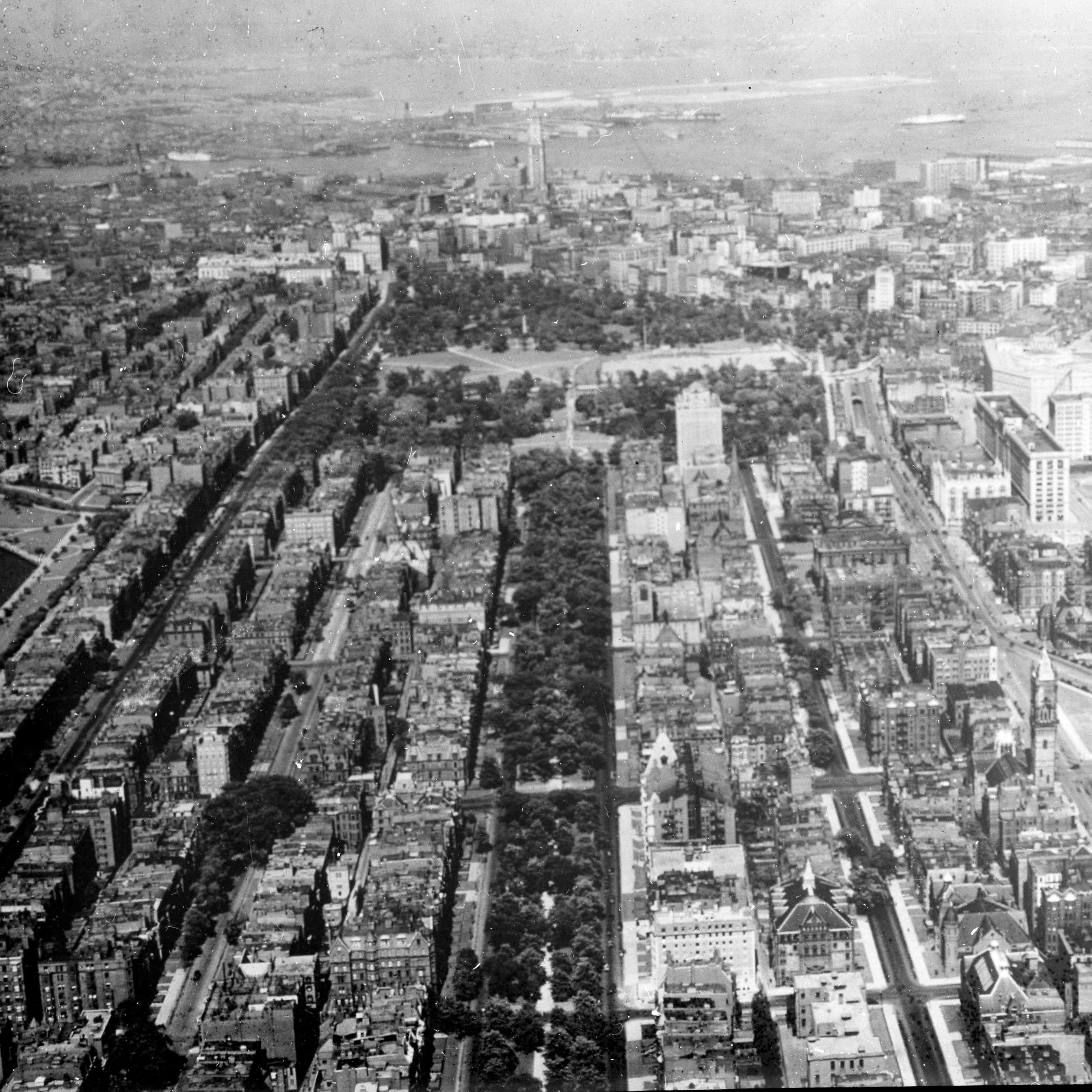 sq 3517_shurcliff_0227_lg.jpg