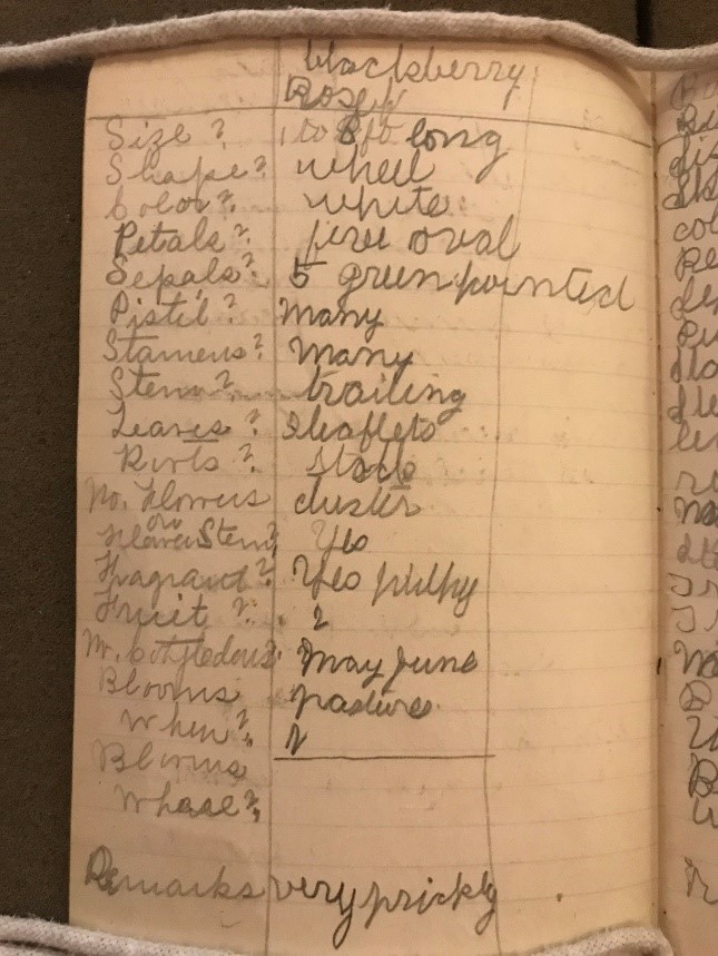 Image showing a handwritten notebook page.