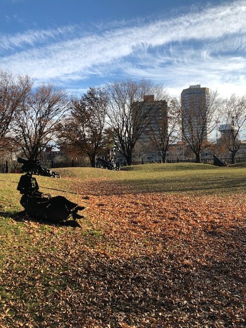 Photo of a grassy area with some cannons. Large buildings and trees are in the background.