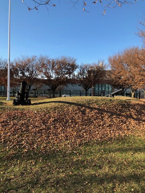 Photo of a grassy mound with two cannons on it