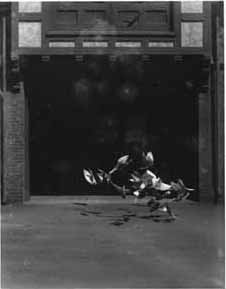 Pigeons at Keewaydin Photograph