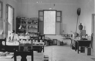 Interior view of Harvard Botanical Laboratory, Soledad, Cuba Photograph