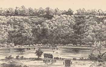 Cliff at Ball`s Bluff opposite Harrison`s Island Engraving