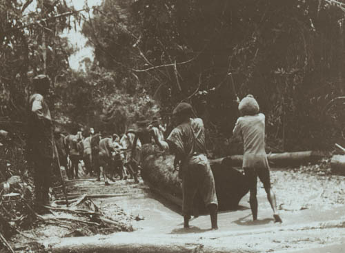 Hauling a log Lantern slide