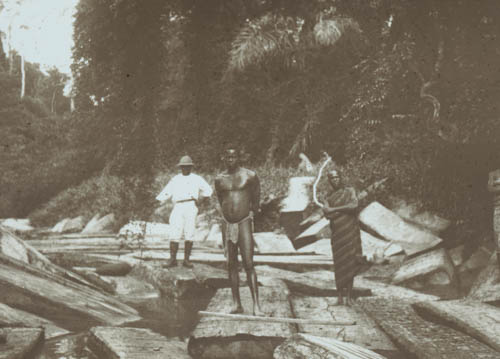 Logs in creek bed Lantern slide