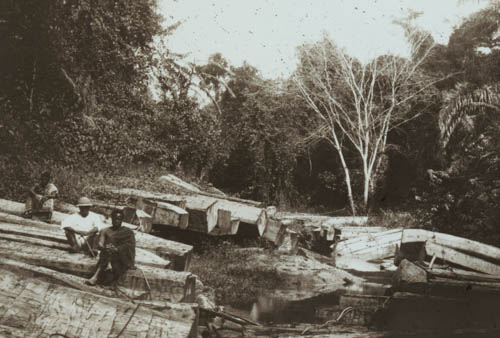 Logs stranded by sudden drop in the river Lantern slide