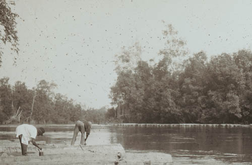 Painting and stamping logs Lantern slide