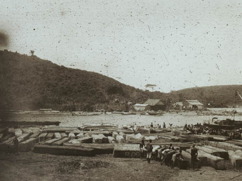 Hauling logs from river to protect from worms Lantern slide