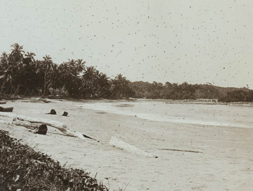 A palm fringed beach Lantern slide