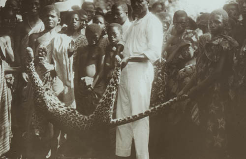 Leopard killed in schoolroom Lantern slide
