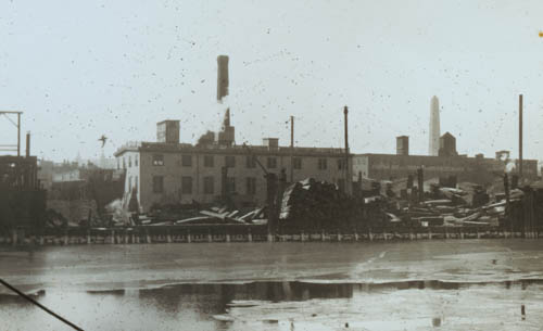 Water, front of plant [Boston] Lantern slide