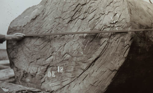 [Log] Six foot in diameter Lantern slide