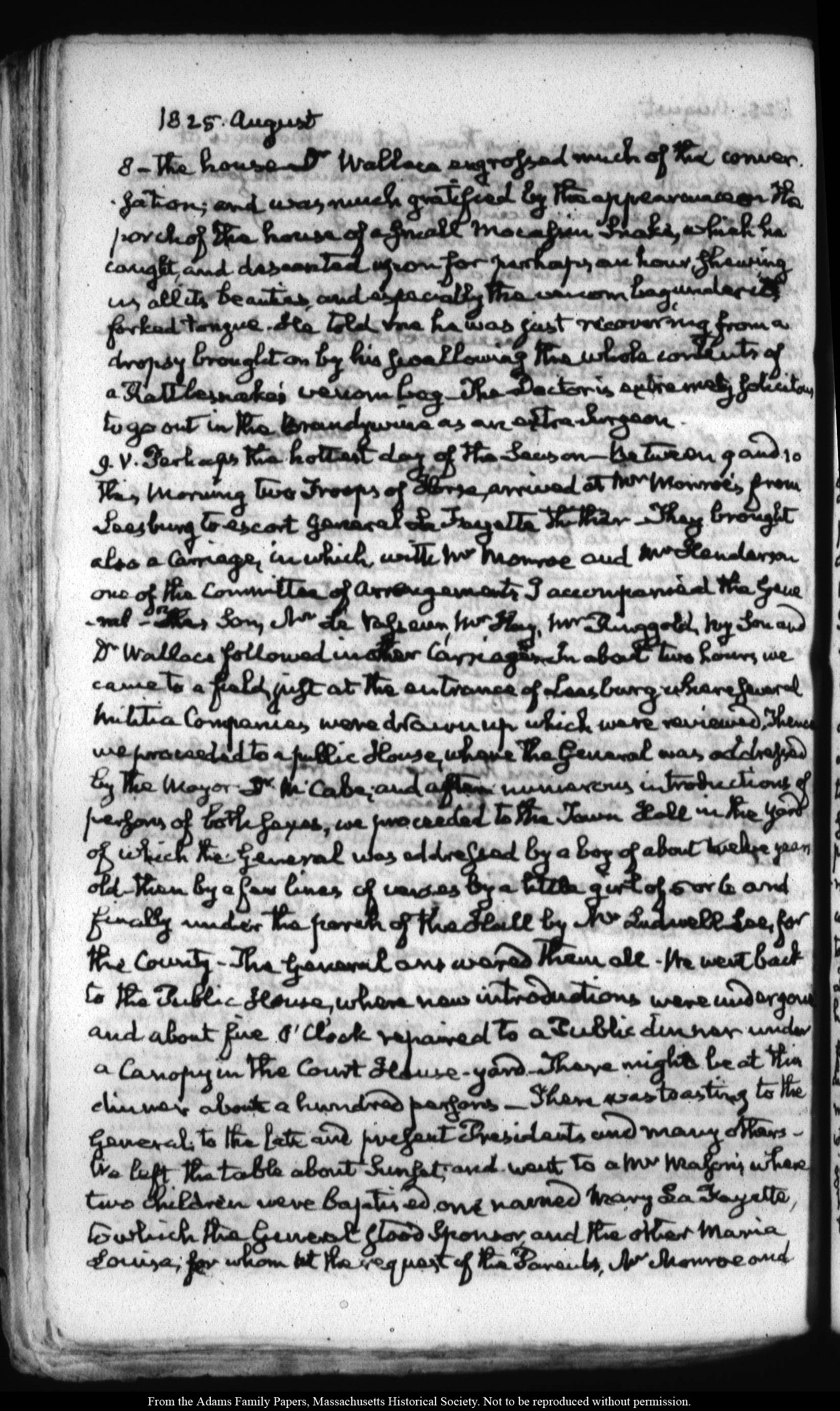 Sorry, there was an error loading the image.